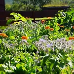 Ingridstua Huskyfarm Innset דירה