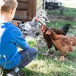 Ingridstua Huskyfarm Innset דירה Bardu