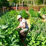 Ingridstua Huskyfarm Innset * Bardu