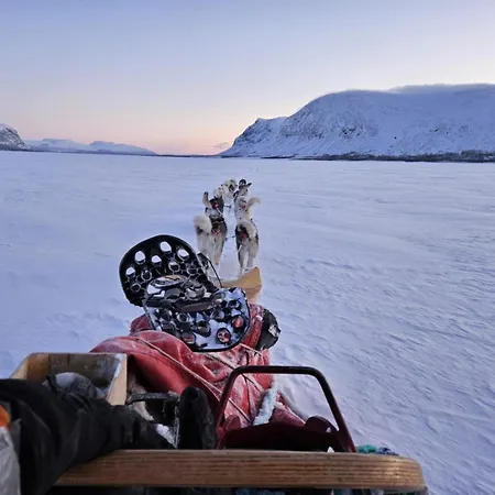 Ingridstua Huskyfarm Innset *