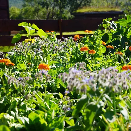 Ingridstua Huskyfarm Innset Апартаменты