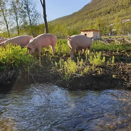 Ingridstua Huskyfarm Innset Apartamento