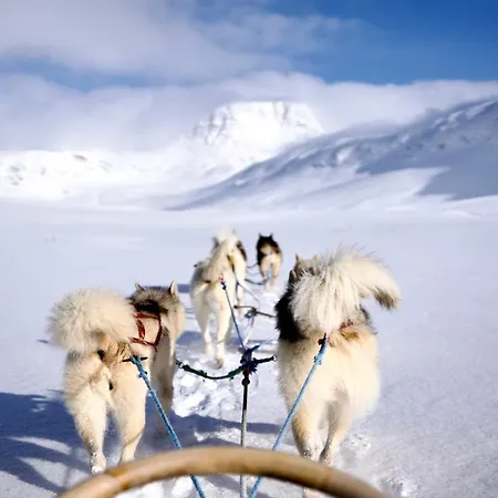 Ingridstua Huskyfarm Innset *