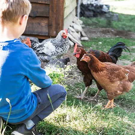 Ingridstua Huskyfarm Innset Lägenhet Bardu
