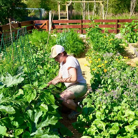 Ingridstua Huskyfarm Innset * Bardu