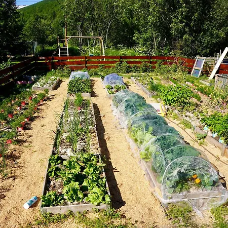 Апартаменты Ingridstua Huskyfarm Innset Bardu