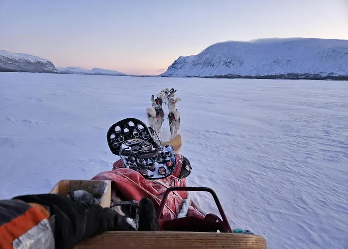 Ingridstua Huskyfarm Innset *