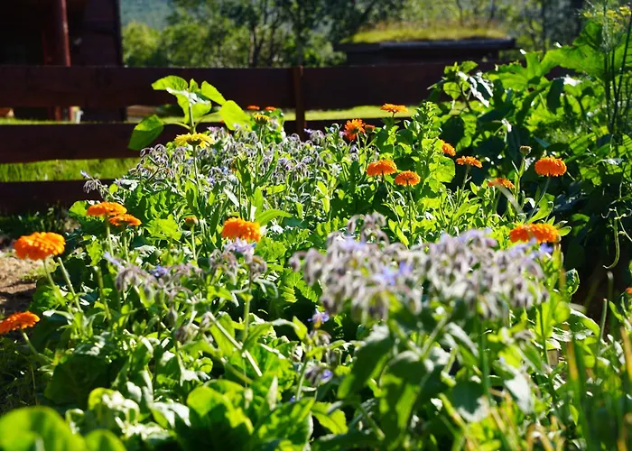 Ingridstua Huskyfarm Innset Apartamento