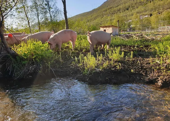 Ingridstua Huskyfarm Innset Apartamento