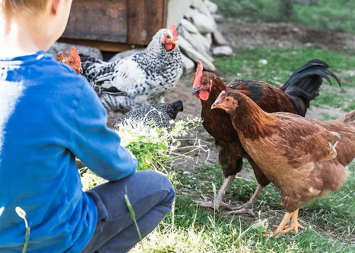 Ingridstua Huskyfarm Innset Apartamento Bardu