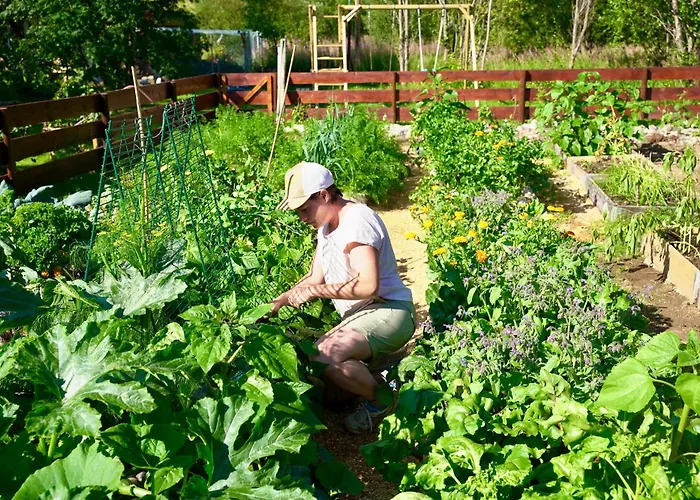 Ingridstua Huskyfarm Innset * Bardu