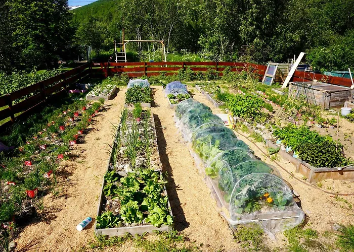 Apartamento Ingridstua Huskyfarm Innset Bardu