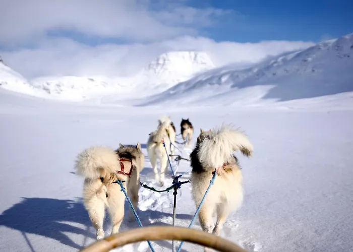 Ingridstua Huskyfarm Innset *
